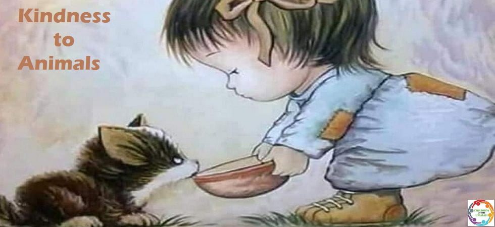 Certificate Of Kindness To Animals Educational Images Picstank Certificate Of Kindness To Animals Educational Images Picstank