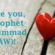 I Love you, O Prophet Muhammad (SAW)